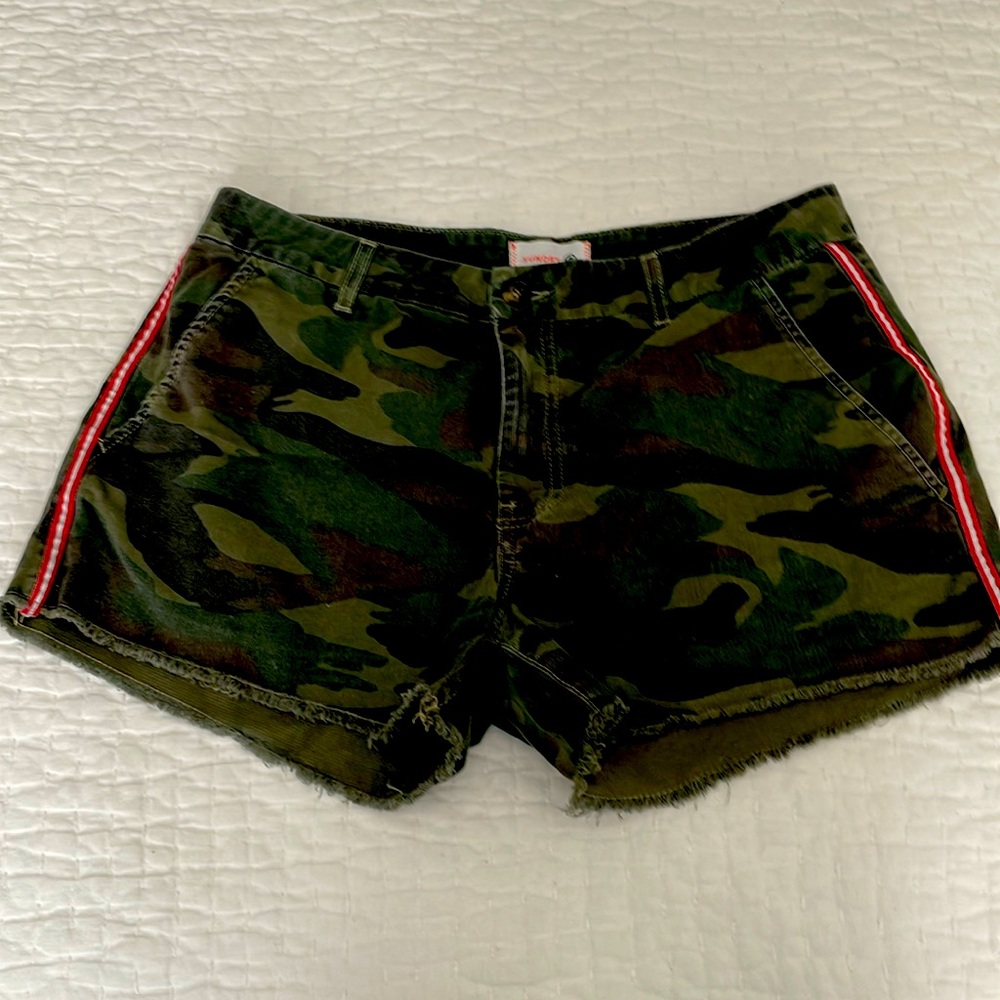 Sundry shorts size 30